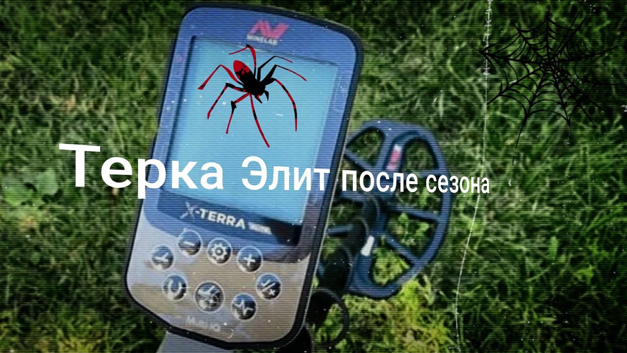 Терка Элит после сезона 