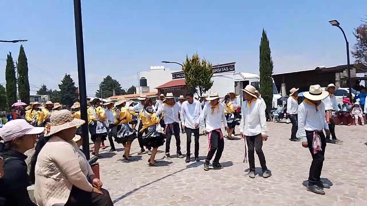 Torito sensación 2025