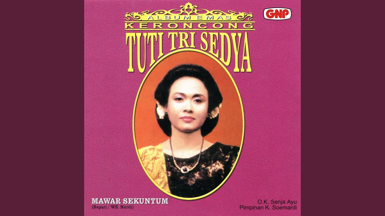 Kr. Senja