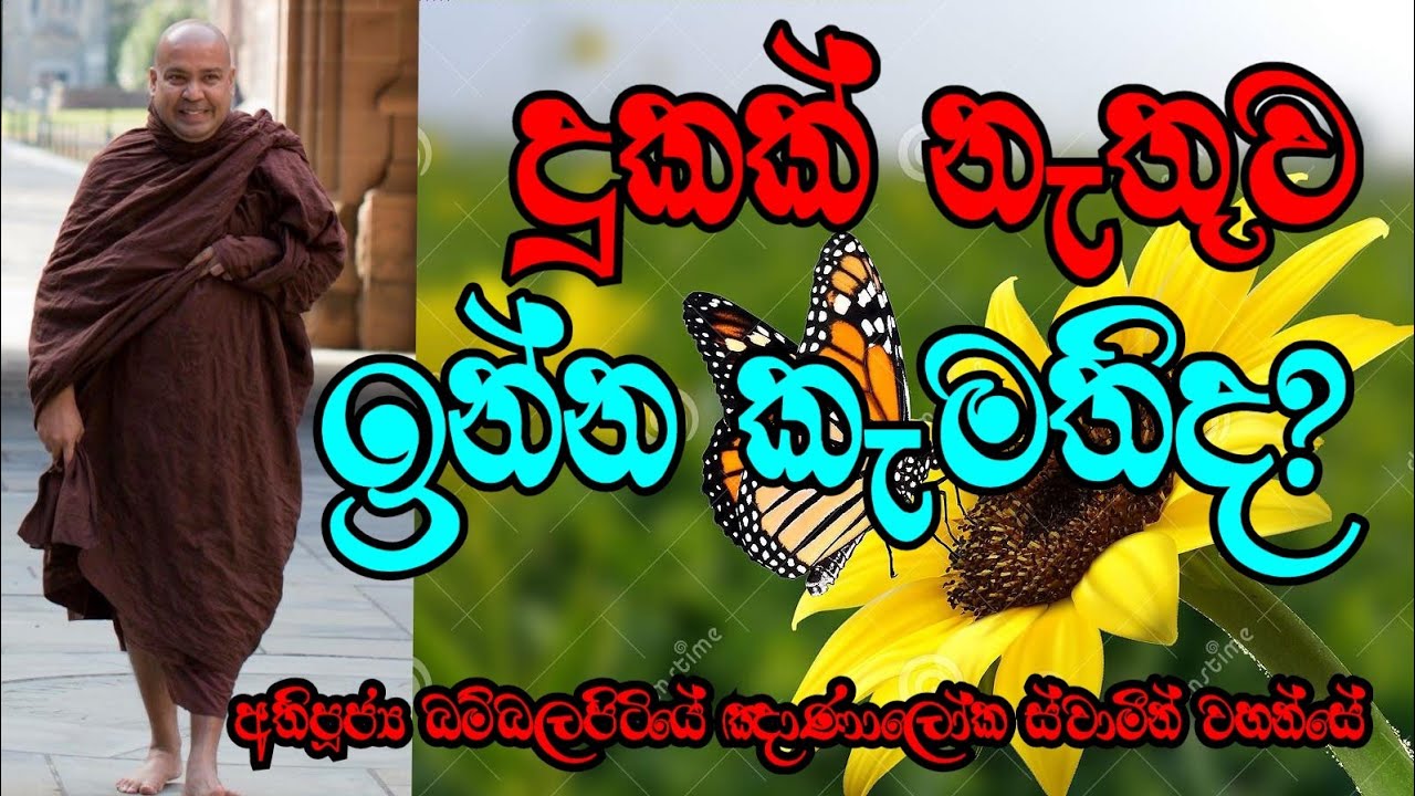 දුකක් නැතුව ඉන්න කැමතිද? Most Ven.Bambalapitiye Gnanaloka Thero