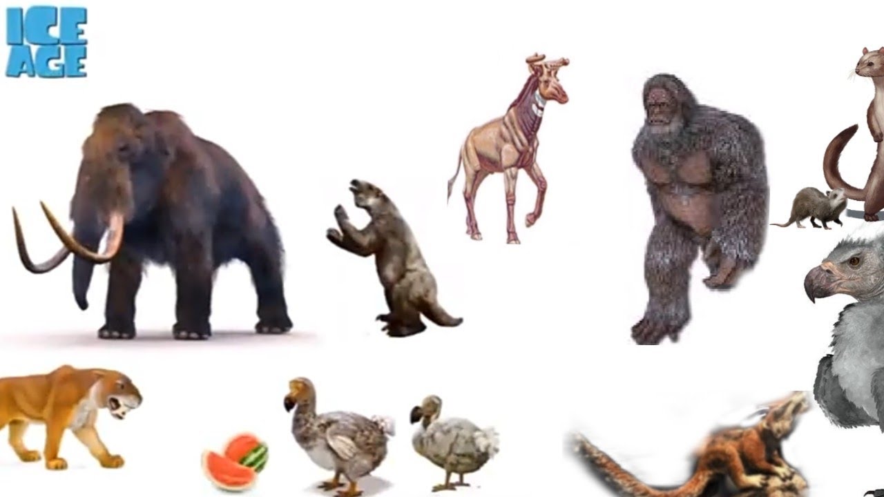 ICE AGE characters in Real Life | A Era Do Gelo