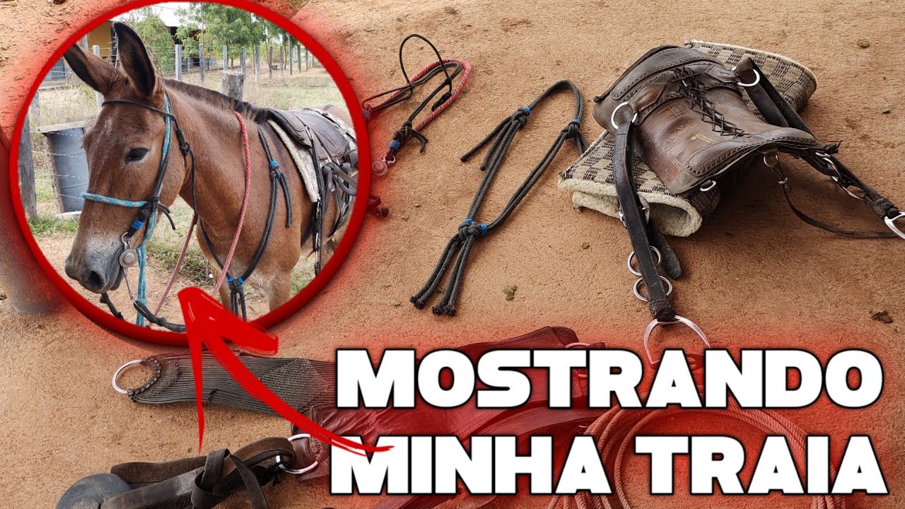 MOSTRANDO MINHA TRAÍA DE SERVIÇO *João Victor Ps*