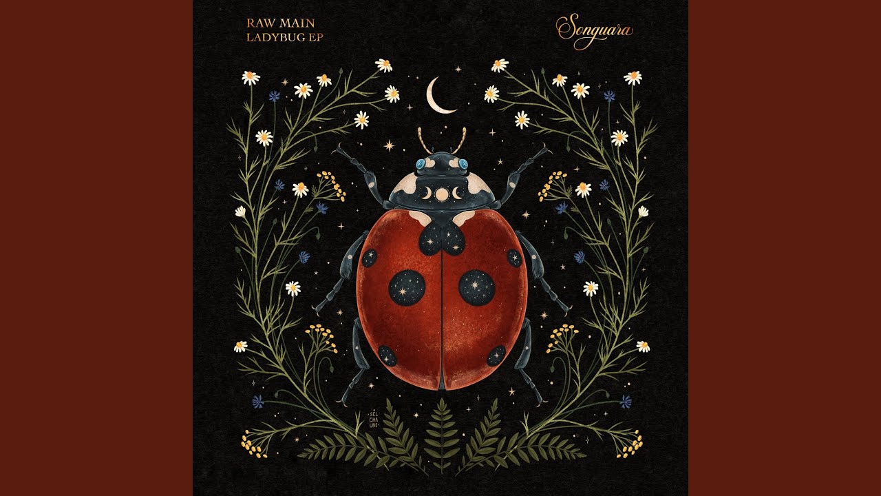 Ladybug (Extended Mix)