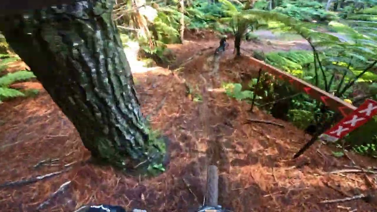 Devine Wind @ Whakarewarewa Forest. Rotorua