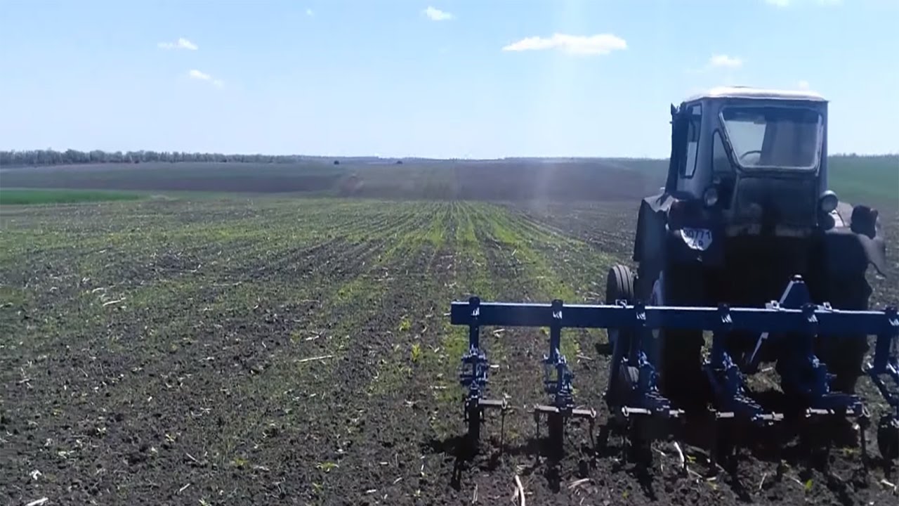 ЮМЗ-6 и КРН-5.6 на прополке подсолнуха под Евролайтинг