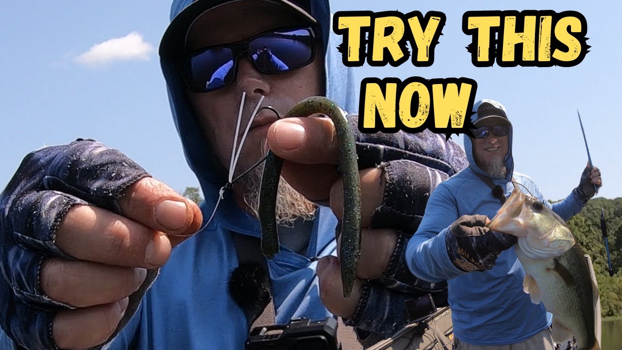 This Lure Works On Tough Summer Days (Neko Rig)