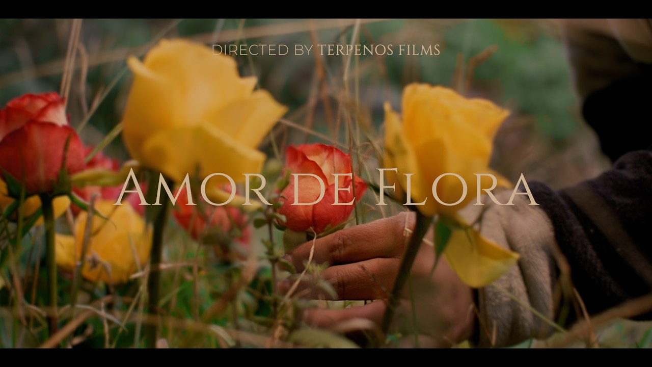 Amor De Flora - Di Neyer (Video Oficial)
