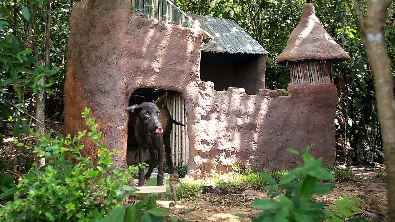 Luxurious Dog House - Building Beautiful Dog Villa With Mini Pool
