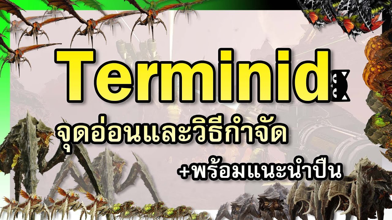 จุดอ่อนและวิธีกำจัดแมลง Bug Helldivers 2 [Terminid Edition] || ศัตรูมหัศจรรย์และถิ่นที่ยิง