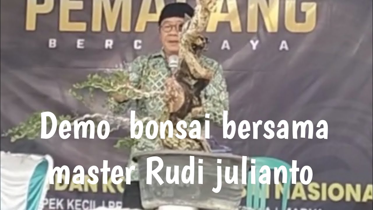 Edukasi bonsai bersama master Rudi juliyanto #bonsai #demobonsai#masterRudijuliynto#ivenbonsai#fypp
