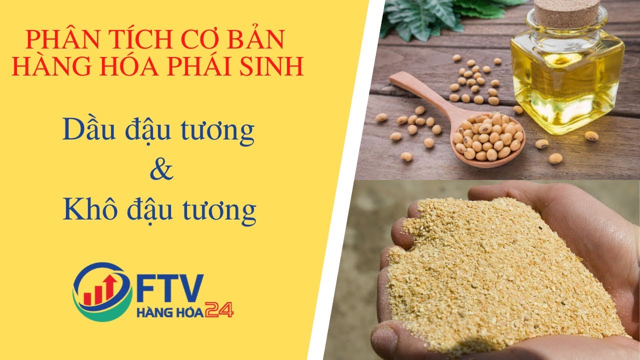 Phân tích Hàng hóa phái sinh Dầu đậu tương và Khô đậu tương | Hàng Hóa 24