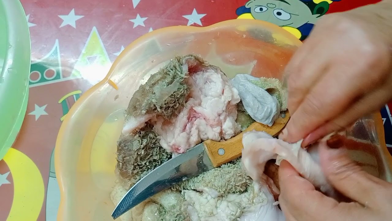 اسهل طريقة لتنضيف الكرشه _ مع مطبخ ماما هدي.