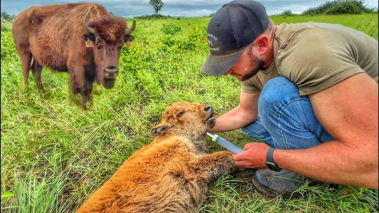 It's Not Over Yet...Found This One Still Alive!