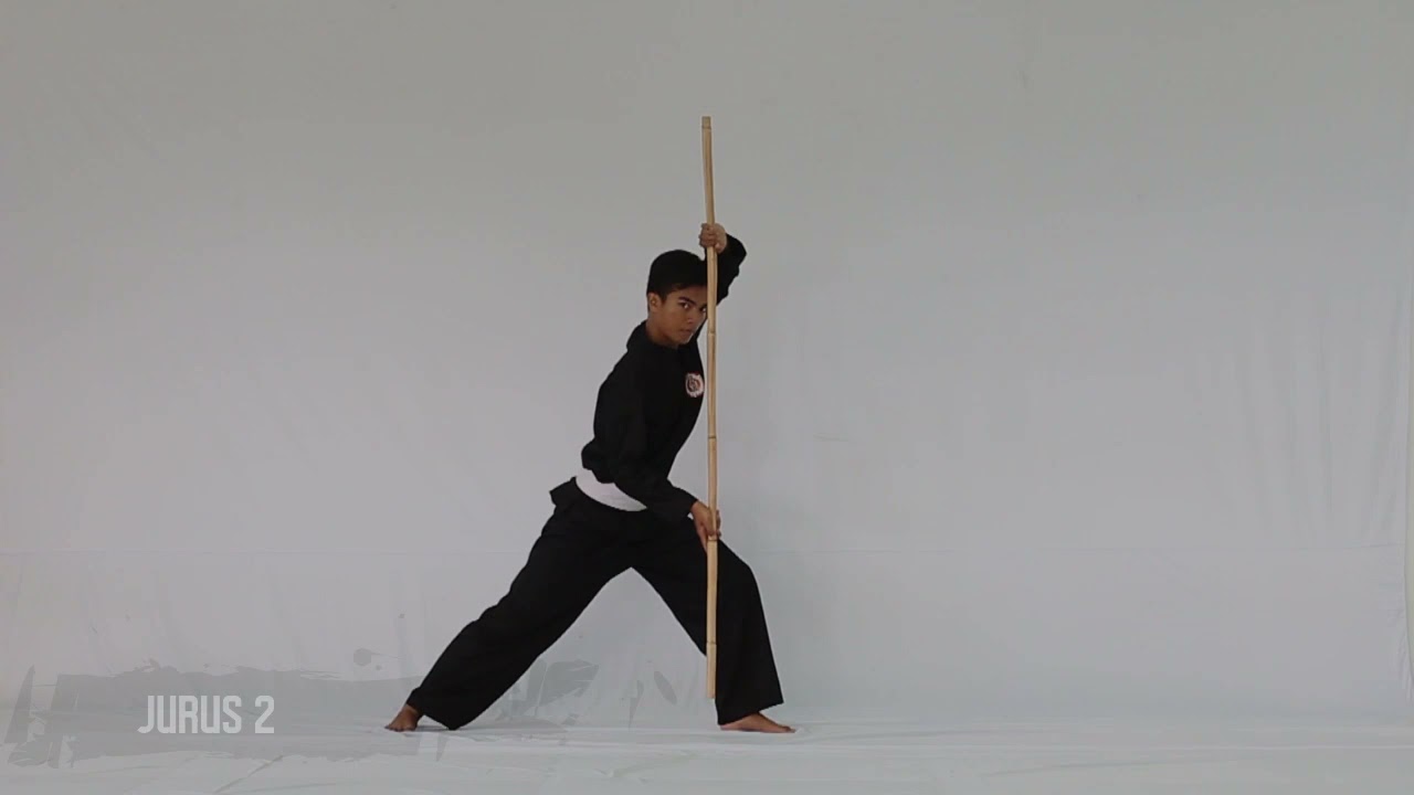 MATERI JURUS TUNGGAL SENJATA TOYA