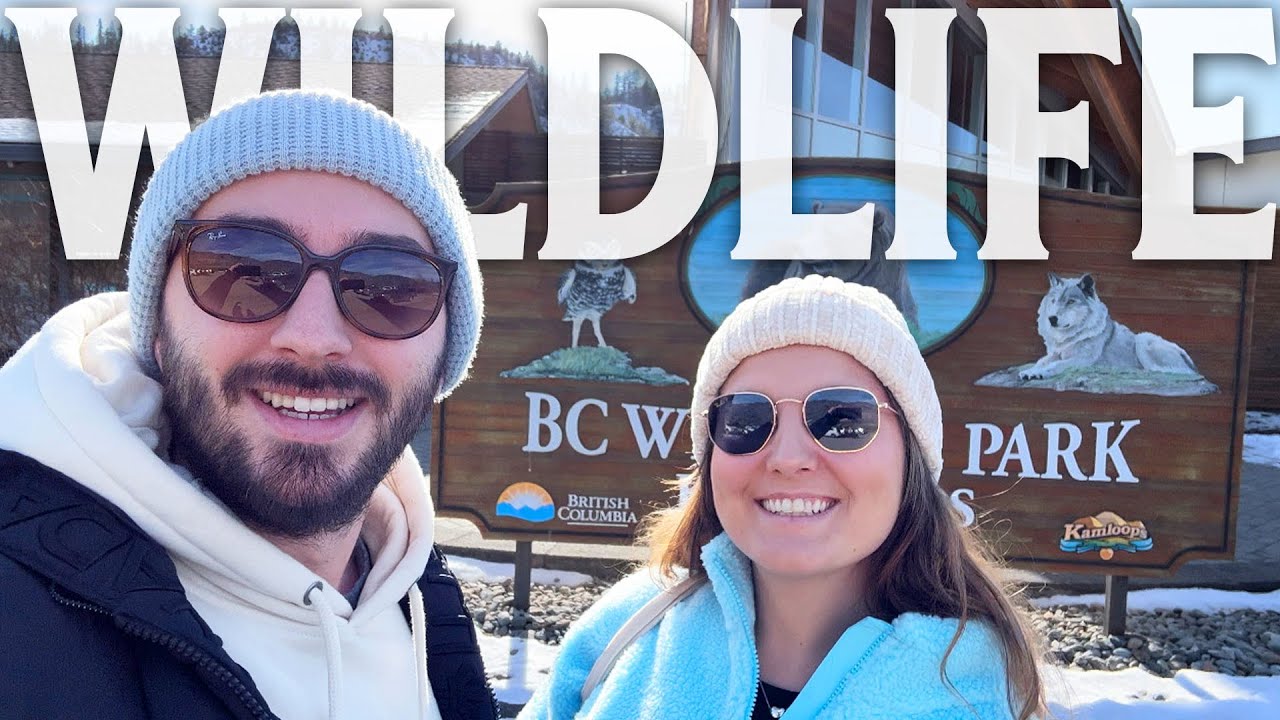 Seeing Real Canadian Wildlife | BC Wildlife Park, Kamloops