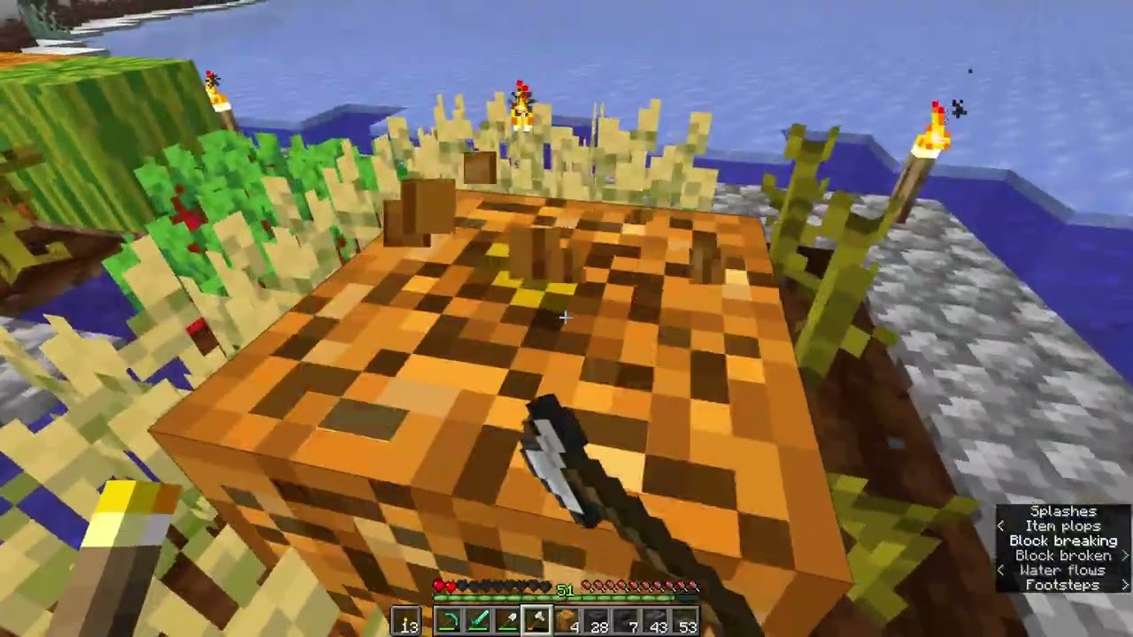 31JAN2026 (Part 1) Minecraft
