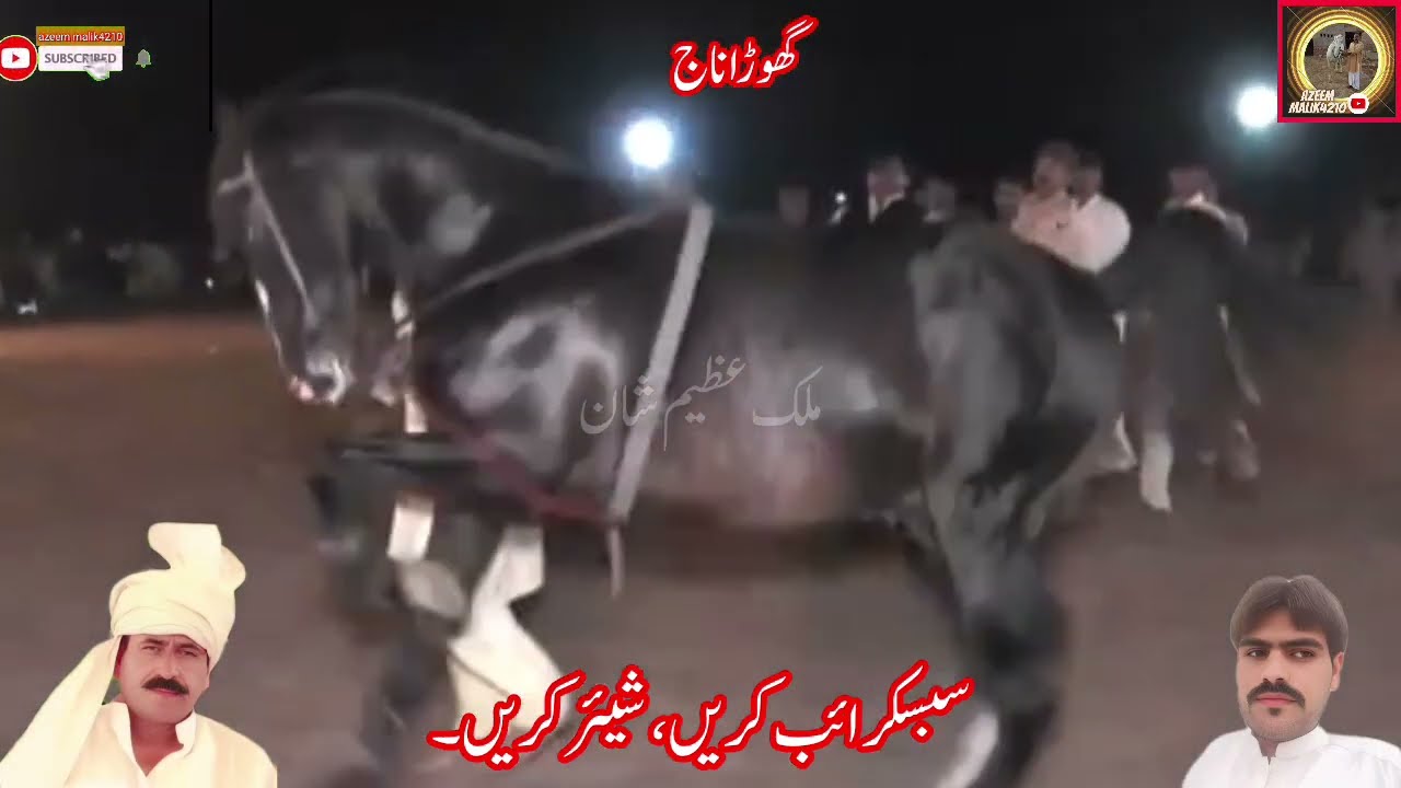Sawar Haji Fakhr metla ghoda chand babo🥰🐎2026