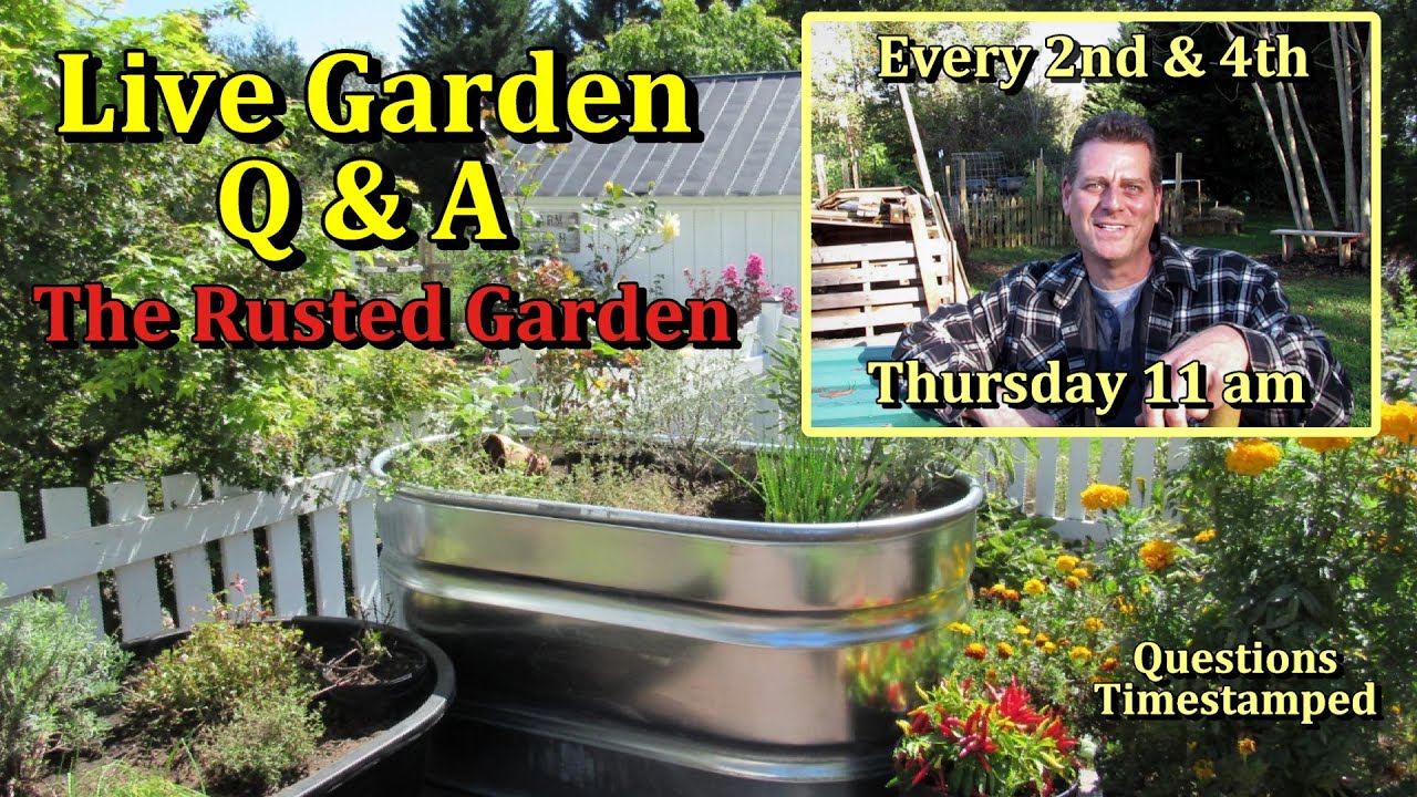 What Seeds to Direct Sow in March (Vegetable Gardening Live Monthly Questions & Answers E-73)