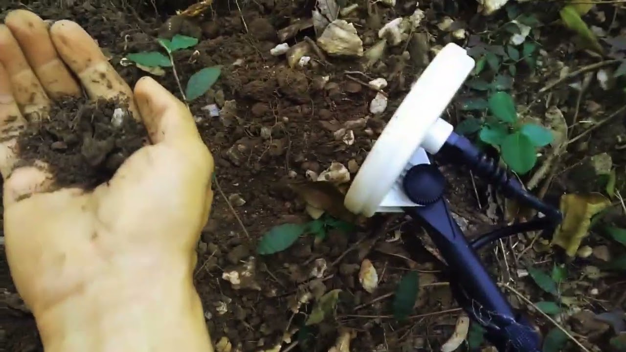 DETECTORISMO NA SELVA #7 - GOLDFINDER FS2