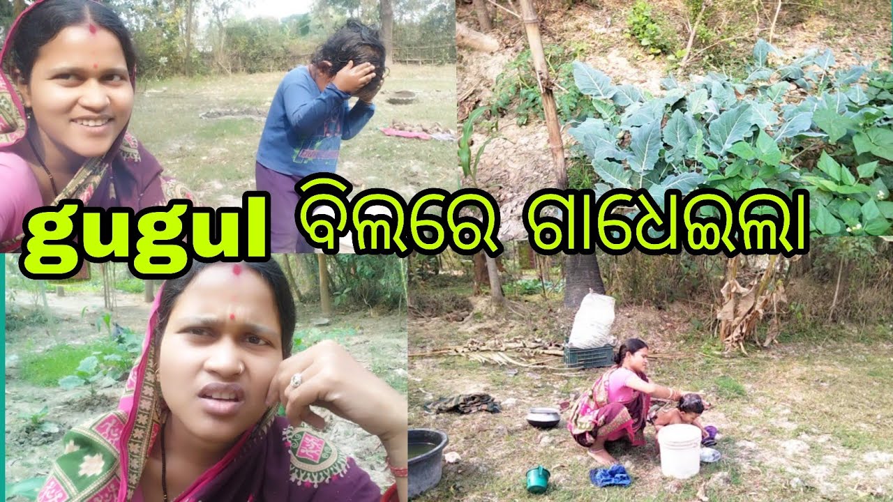 ଖରାରେ ଗାଧେଇଲା ❤️//Village Vlog #love #viral video 