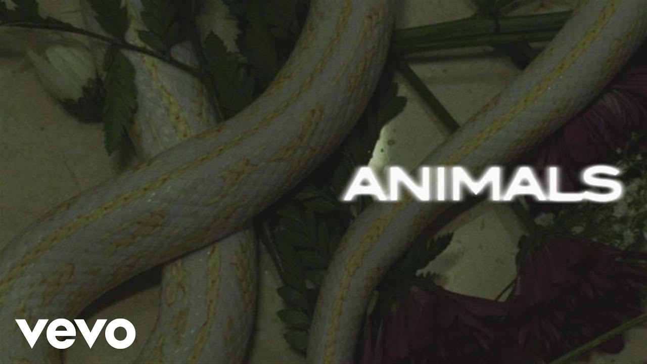Maroon 5 - Animals (Lyric Video)