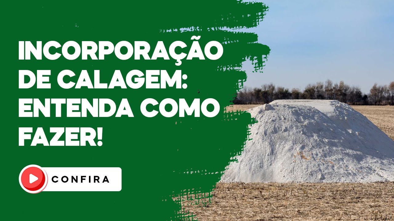 INCORPORA&Ccedil;&Atilde;O DE CALAGEM