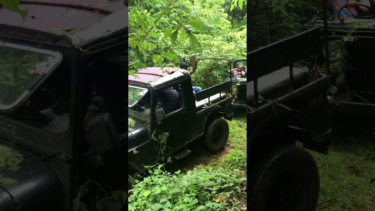 Forest ride    Jeep riders Calicut