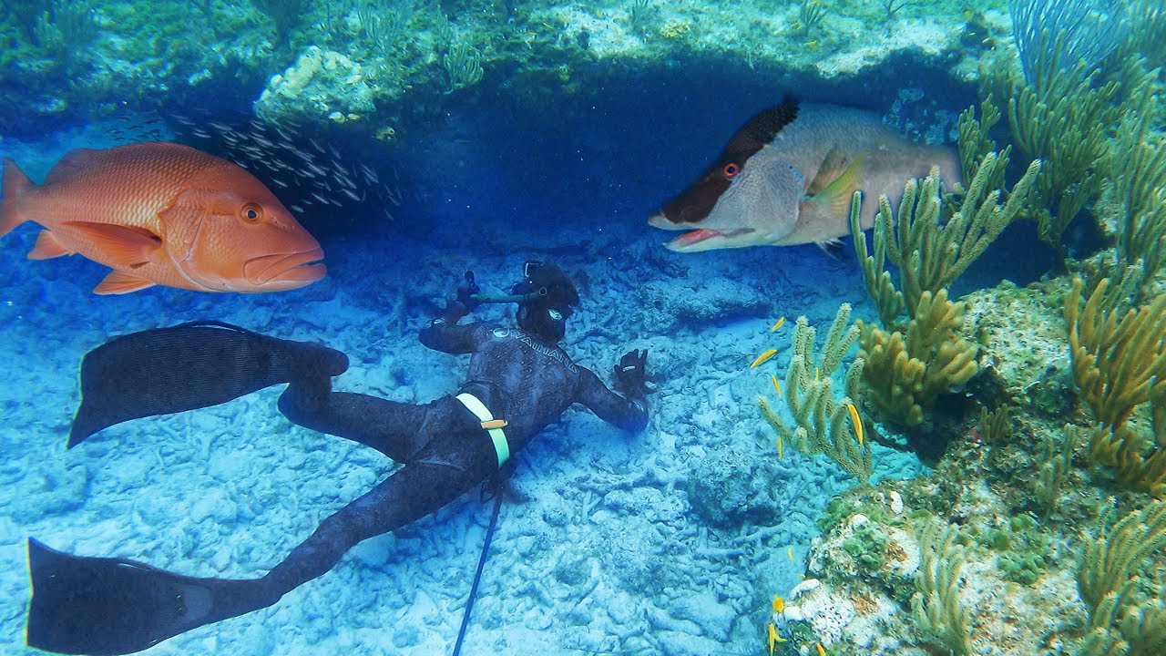 Bahamas CAVE Spearfishing! Using My NEW POLESPEAR! | Catch n Cook