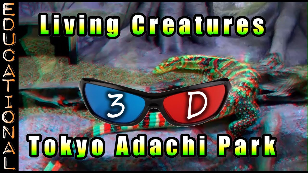 Living Creatures in Tokyo Adachi Park - 3D Anaglyph - Red and blue(cyan) glasses needed
