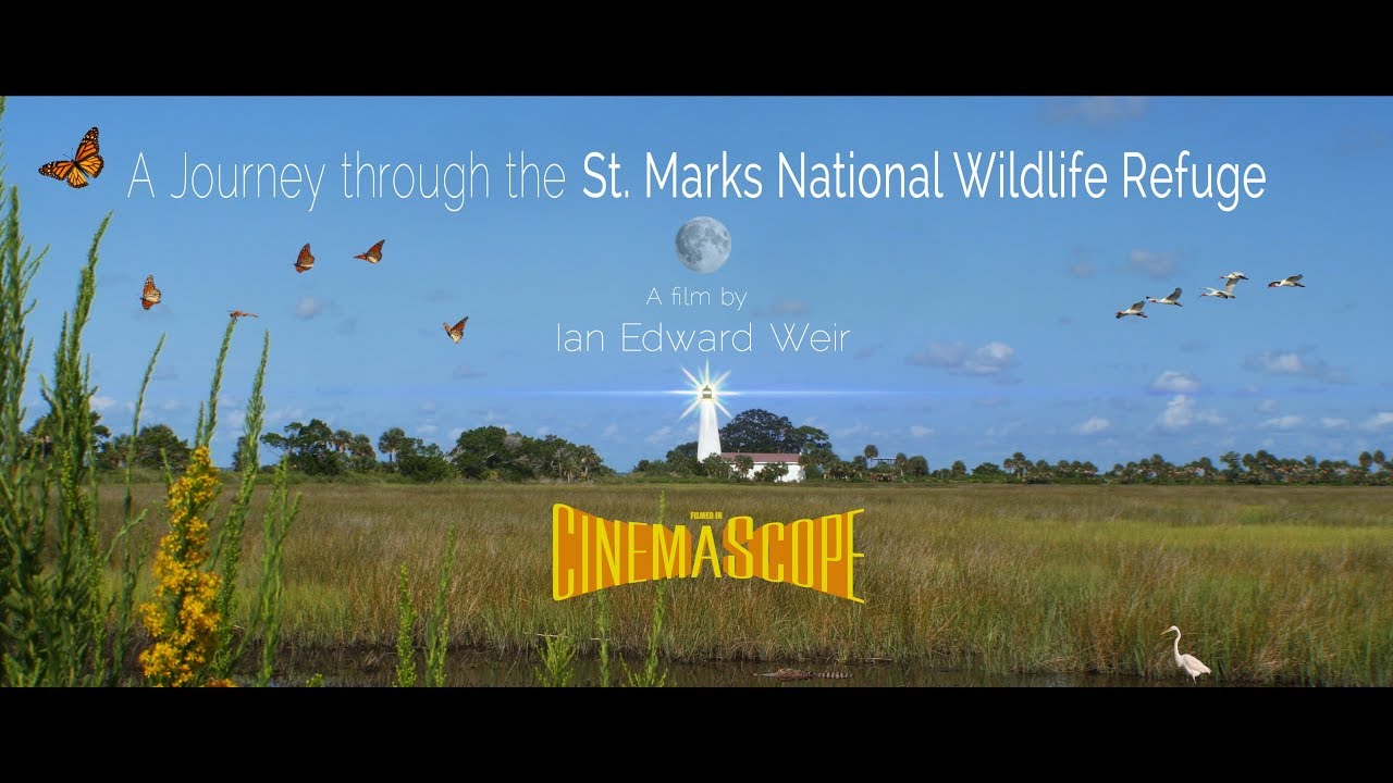 A Journey through the St. Marks National Wildlife Refuge - Cinematic Travel Film by Ian Edward Weir