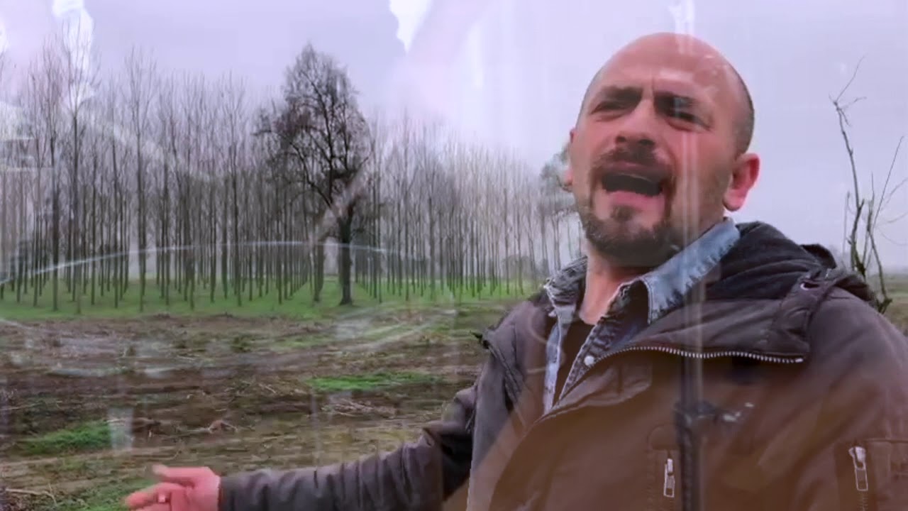 UNA NUOVA CANZONE PER LEI