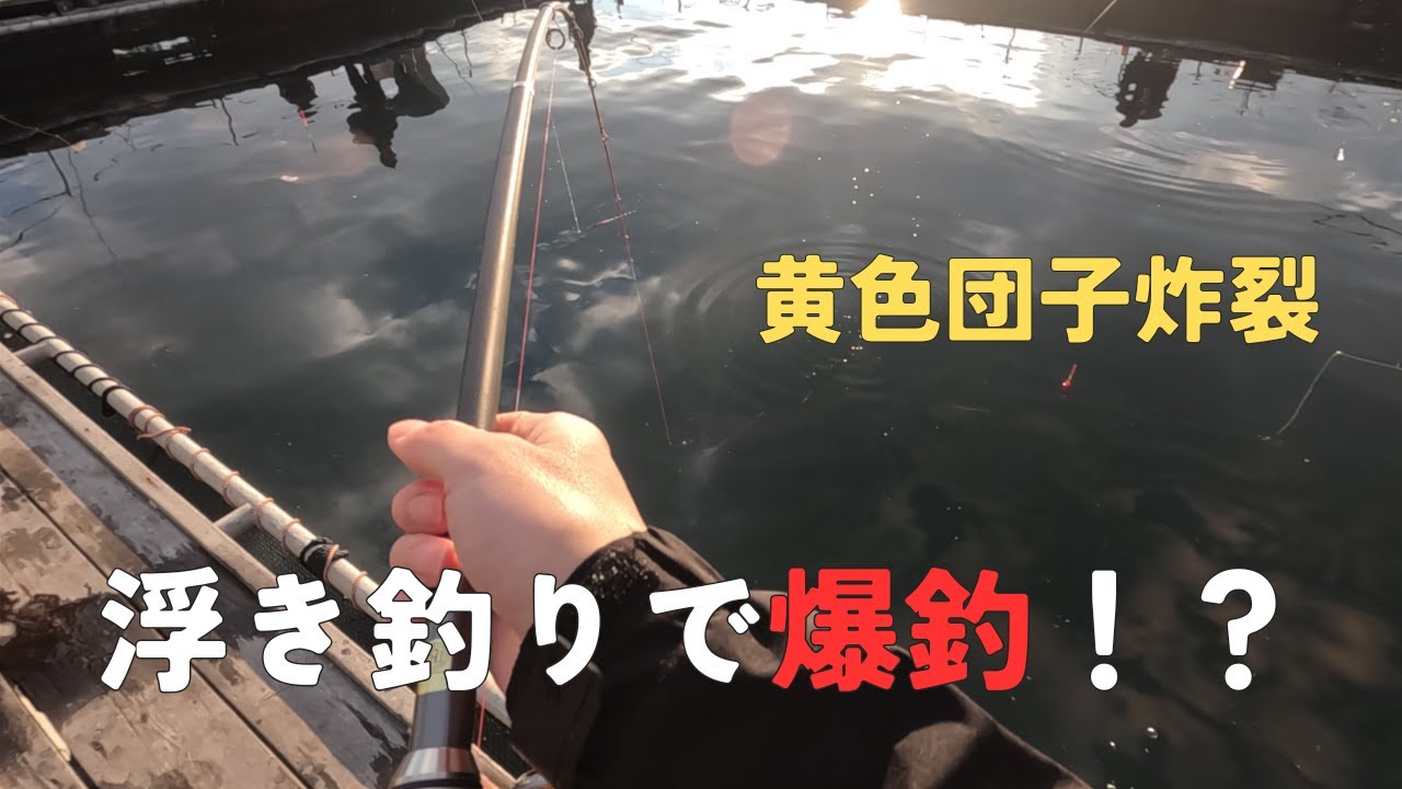 【海上釣り堀】タイに好かれた日はブーイングが止まらない