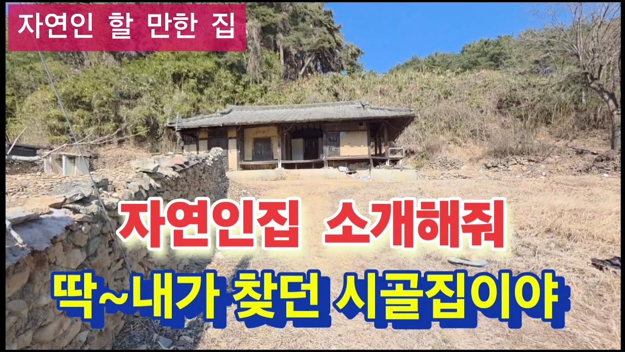 내가 찾던 자연인집이야 가격이 얼마나할까.