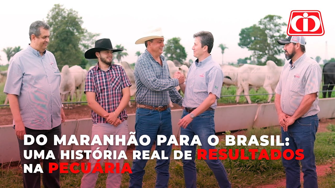 Do Maranhão para o Brasil: uma história real de resultados na pecuária