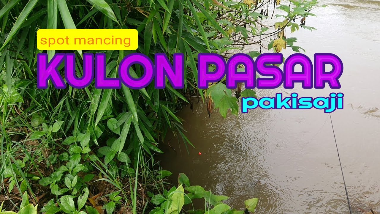mancing di pakisaji / mancing stelah hujan!! spot mancing kulon pasar pakisaji @HASAN DOLENtok
