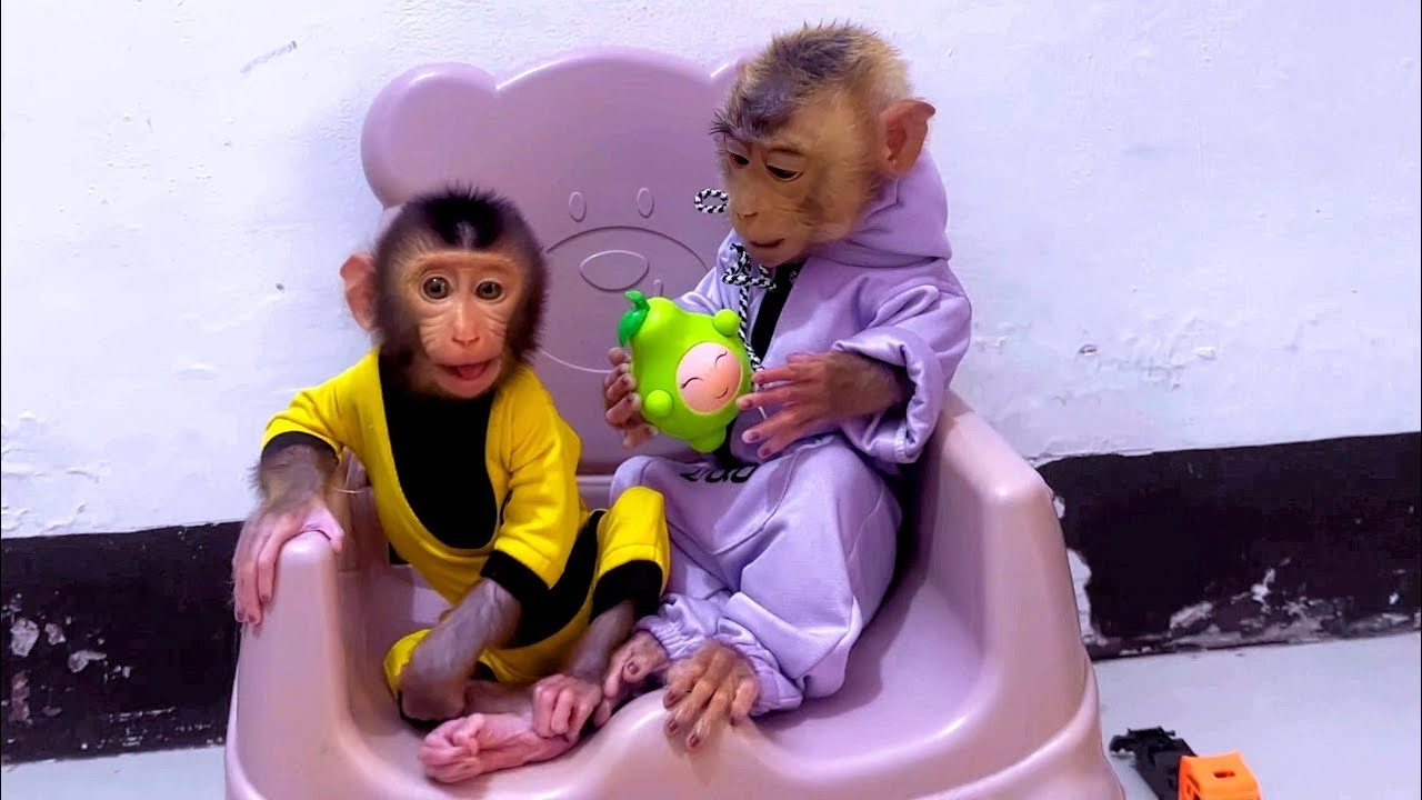 Alpha is sad because baby Monkey dino reported him to mommy even though he was only joking