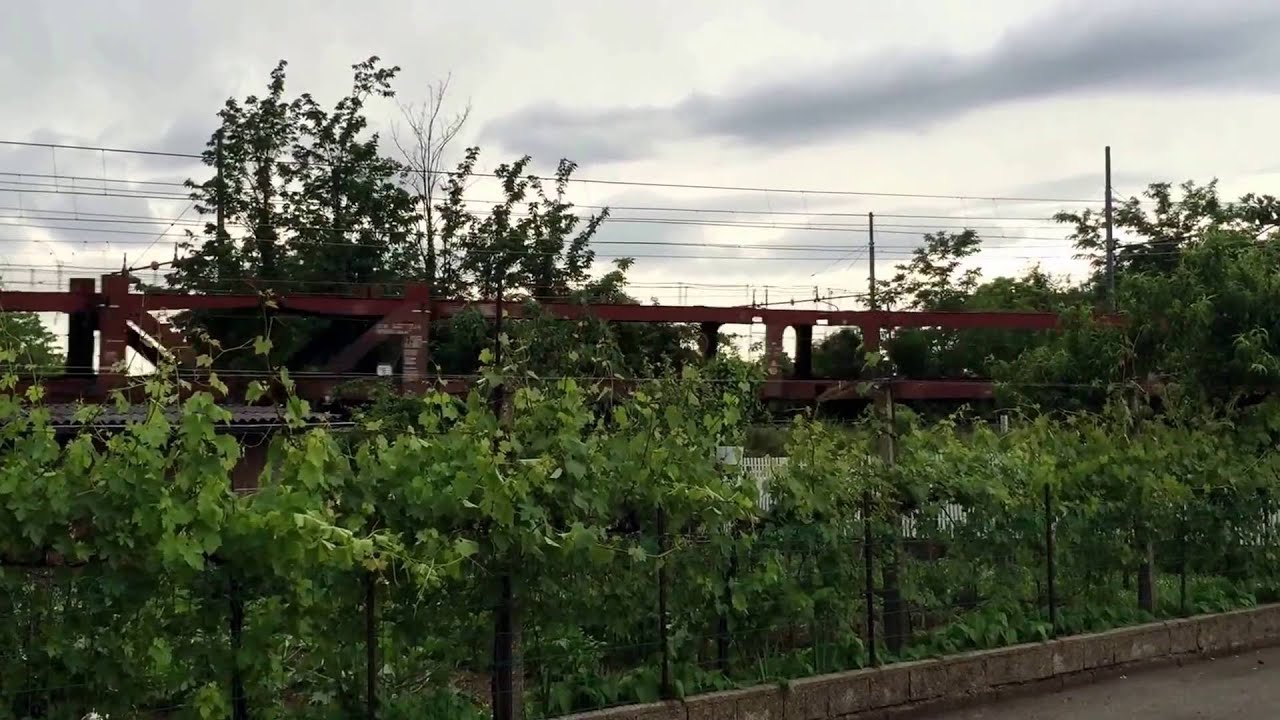 E1216 obb cargo italia cn bisarche viote dir tarvizio il 23.5.2016