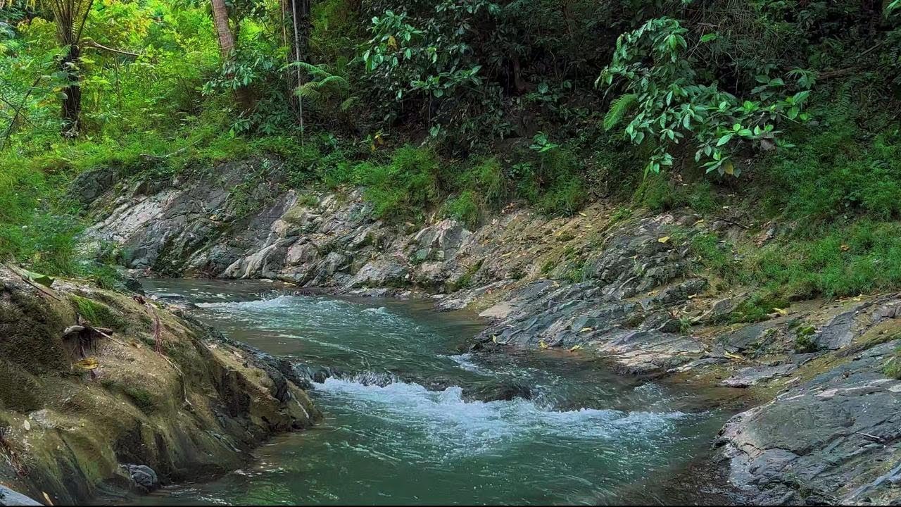 4K-HDR | Nature Water River Ambience for Sleeping & Stress Relief | Calming Soundscape for Deep Rest