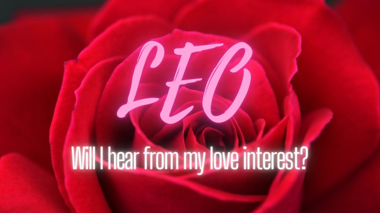 Leo Love - 
