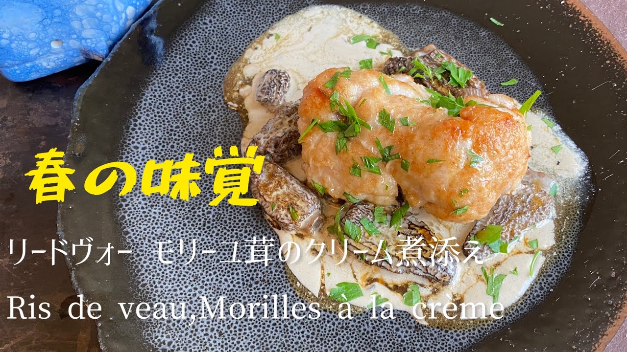 Ris de veau, Morilles à la crème/Sweetbreads, mortels with cream/リードヴォー,モリーユ茸のクリーム煮