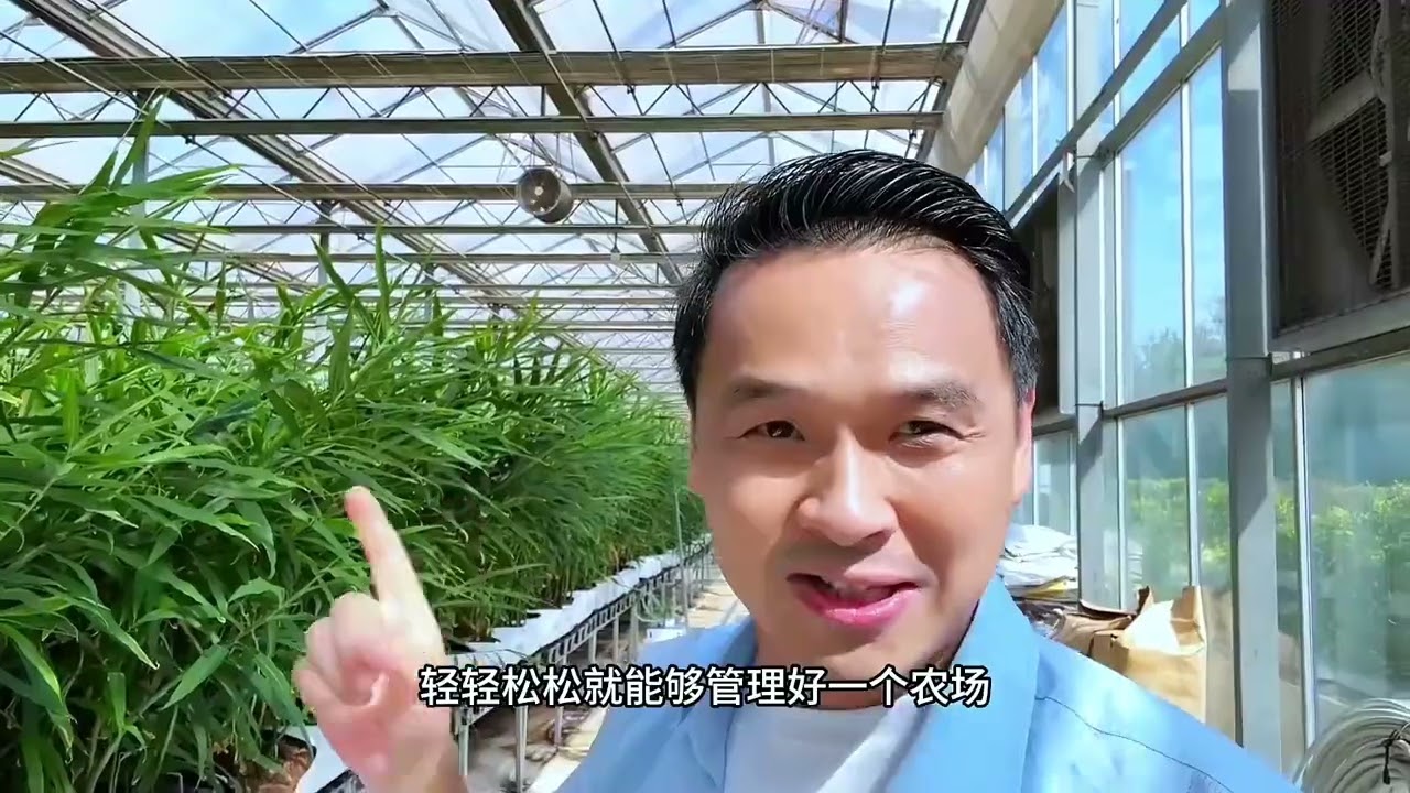 澳洲袋种生姜技术在国内成功落地，成为科技农业的新示范！ 采用设施农业+基质+袋种+立体种植模式，实现零农残的种植，一亩地种3000袋，亩产36000斤，成为盘活闲置大棚，打造订单农业的新农业模式！#