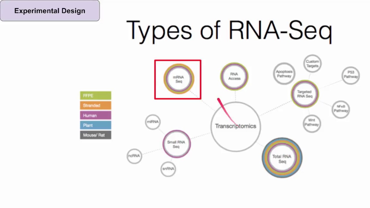 Introduction to RNA-Seq for Researchers