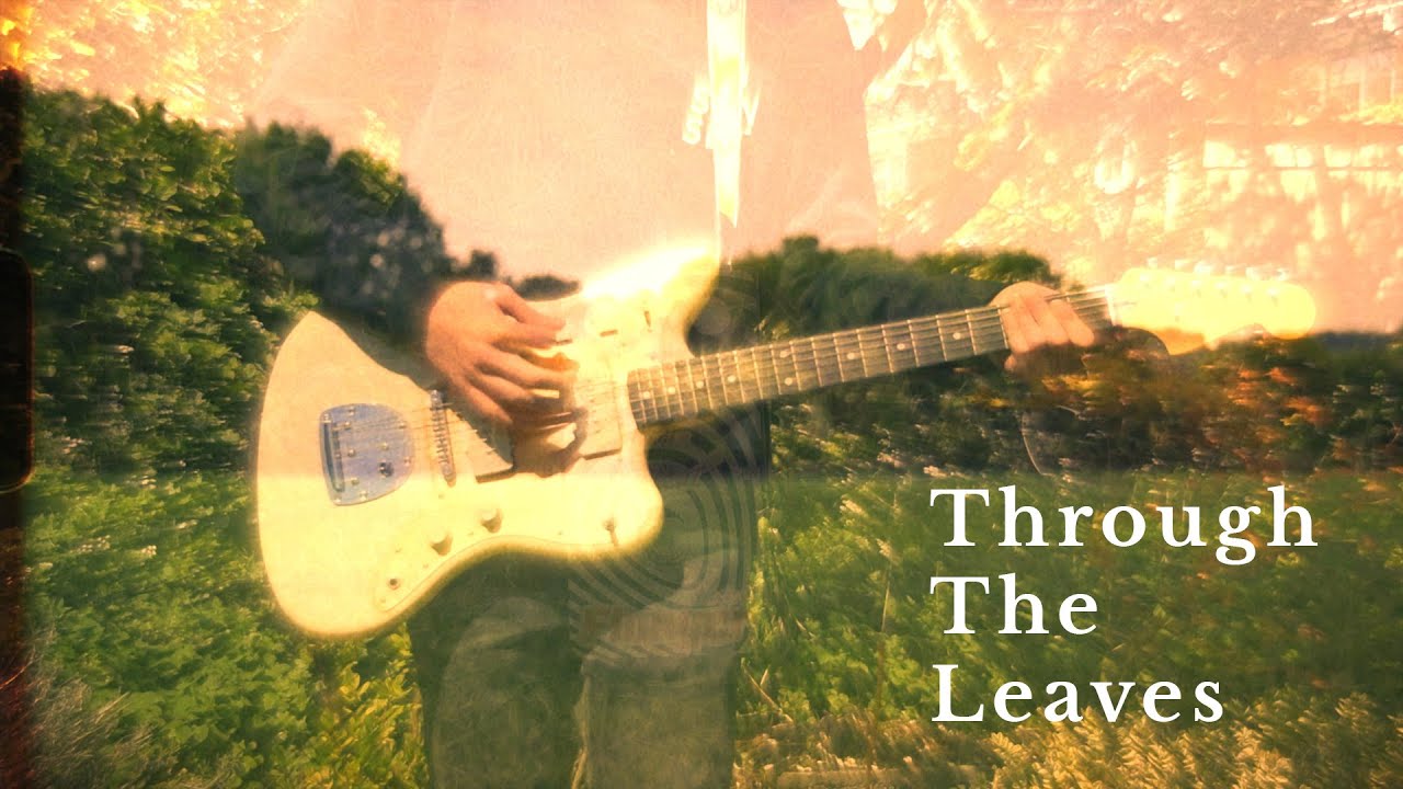 Archie Sagers - Through the Leaves (Music Video)