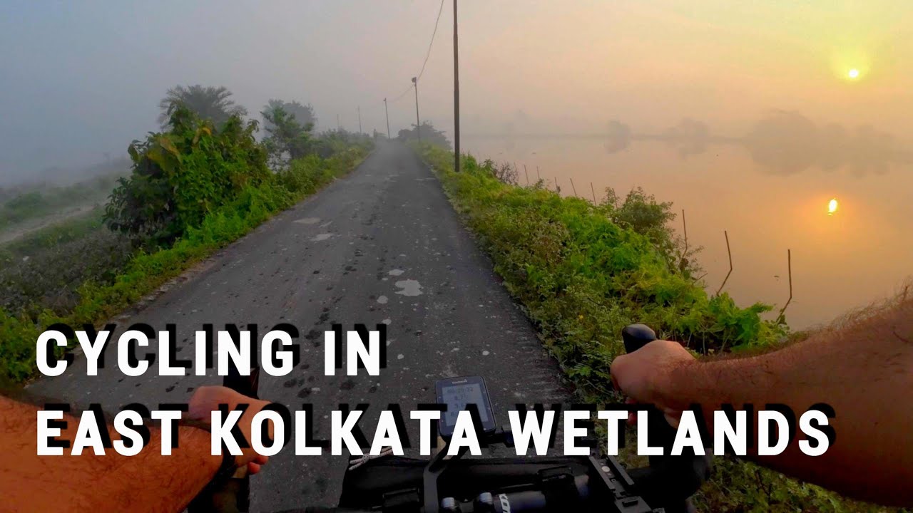 Cycling in East Kolkata Wetlands