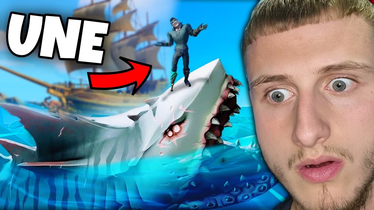 MEGALODONI DO T'NA SHKATRROJ ANIJEN E PIRATEVE ...