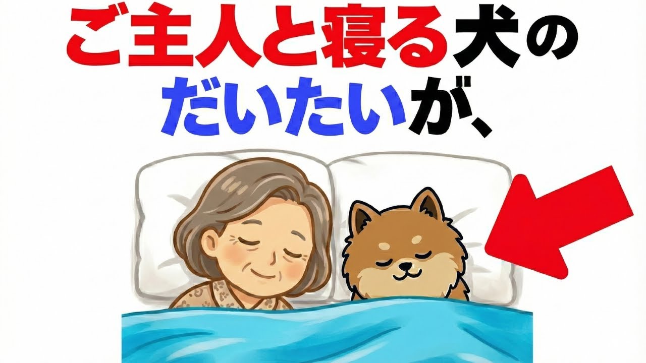 【感動】ご主人様と一緒に寝る犬の本音とは？