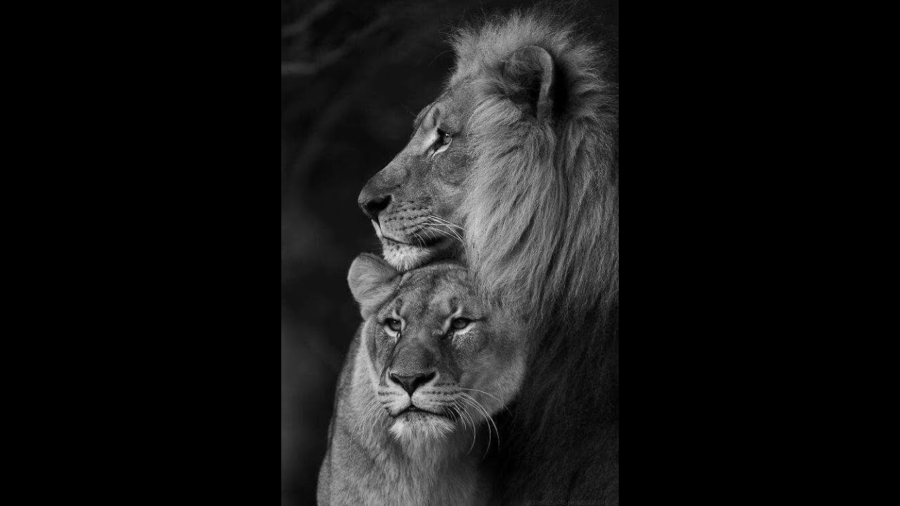 Libra Love Feb 15-29/20 Beautiful Start
