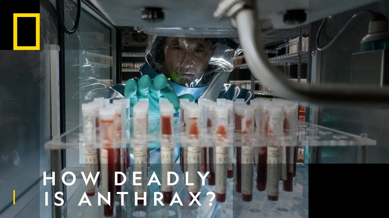 Anthrax: How Deadly Is It? | The Hot Zone: Anthrax | National Geographic UK