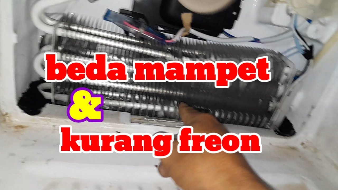 kulkas 2 pintu antara mampet atau kurang freon