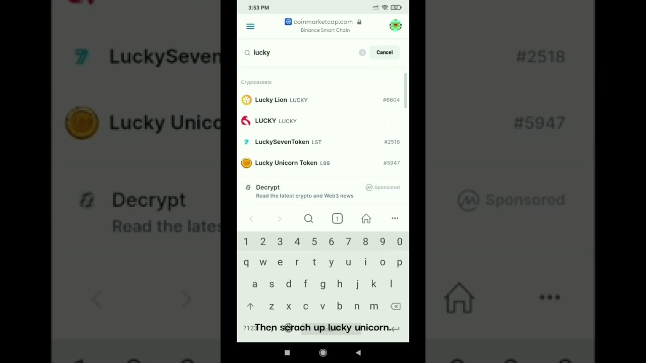 HOW TO ADD L99 TOKEN TO BSC (BINANCE SMART CHAIN)?